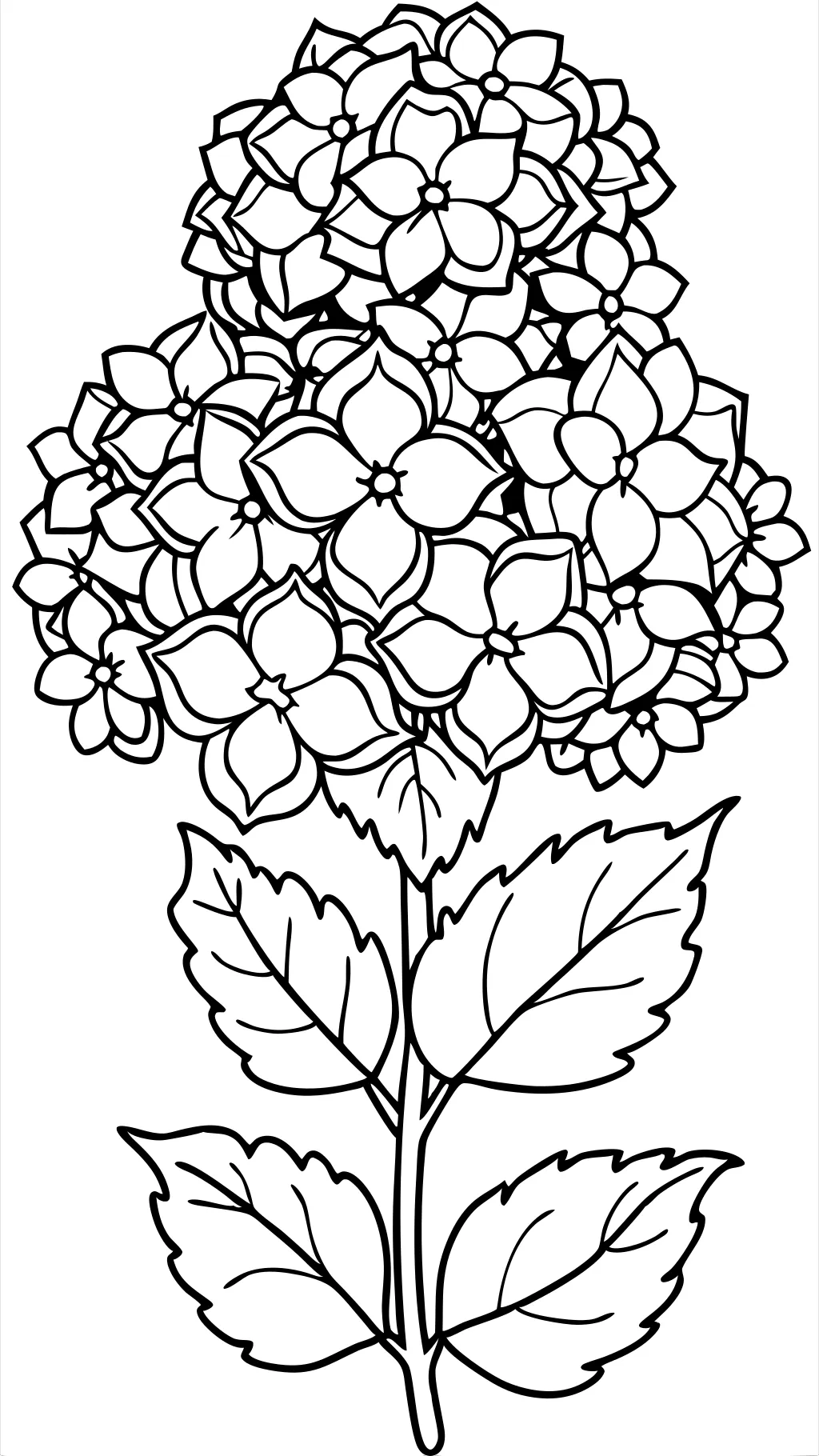 Página para colorear de hortensias